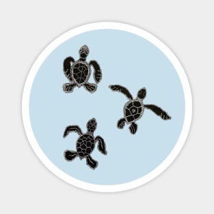 Baby Turtles Magnet